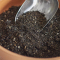 Compressed Coconut Coir - Potting Soil